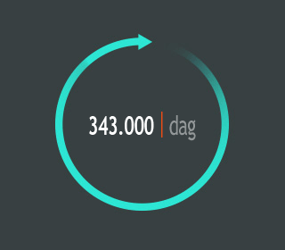 343.000 per dag